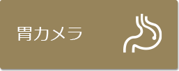 胃カメラ