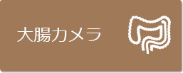 大腸カメラ
